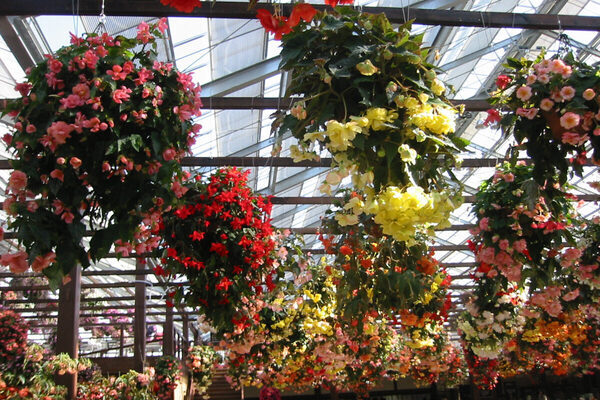 【育旅、どこ行く？】学びと遊びを両立できる親子旅スポットランキング、1位は恐竜のまち「福井県 勝山市」！ 2位以下は…？