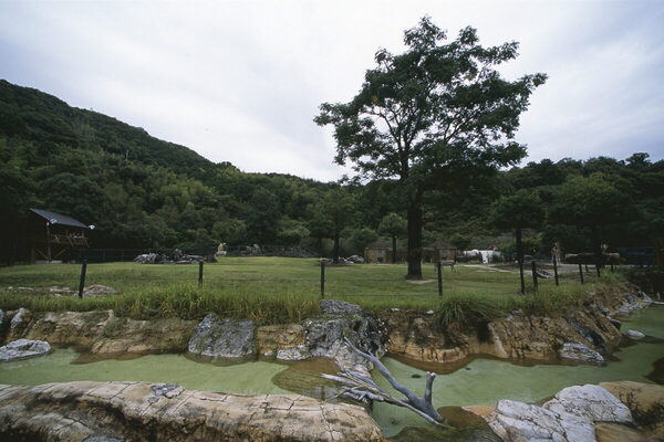 【育旅、どこ行く？】学びと遊びを両立できる親子旅スポットランキング、1位は恐竜のまち「福井県 勝山市」！ 2位以下は…？