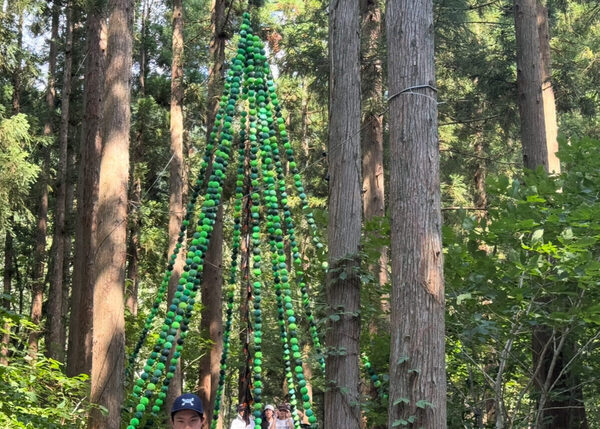 はじめての子連れフェスに参戦！準備から実際使って良かったマストアイテムを一挙紹介