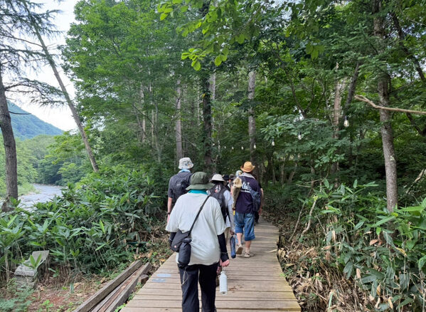 はじめての子連れフェスに参戦！準備から実際使って良かったマストアイテムを一挙紹介