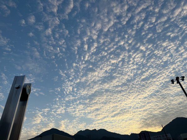 はじめての子連れフェスに参戦！準備から実際使って良かったマストアイテムを一挙紹介