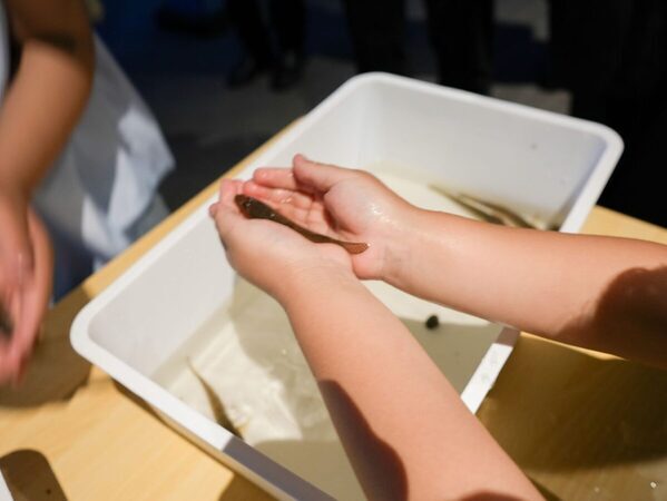 東京の高層ビルの間に干潟が出現！ ラグジュアリーホテルで新感覚の“干潟と食”の自由研究を体験してきた／親子レポ