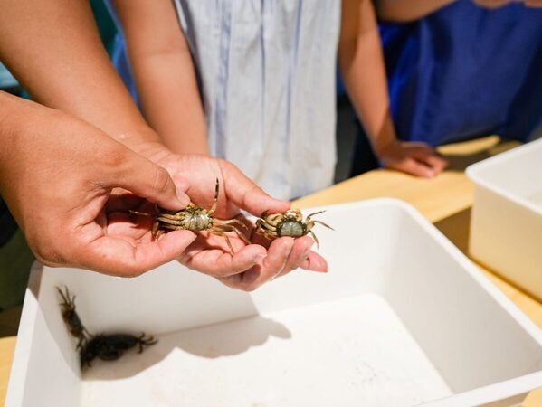 東京の高層ビルの間に干潟が出現！ ラグジュアリーホテルで新感覚の“干潟と食”の自由研究を体験してきた／親子レポ