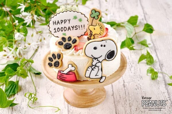 かわいすぎる～～♡ スヌーピーデザインのお食い初めセットが新登場