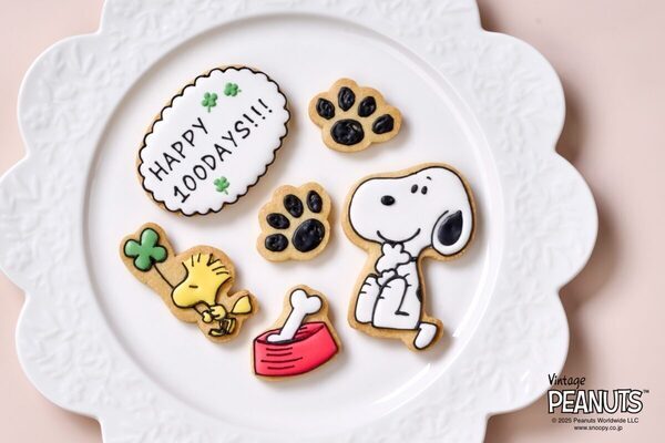 かわいすぎる～～♡ スヌーピーデザインのお食い初めセットが新登場