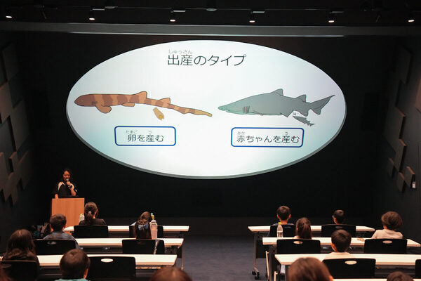 水族館が学校に！ 神戸須磨シーワールドで、海の生きものを学ぶスクールがスタート！【小学生対象】