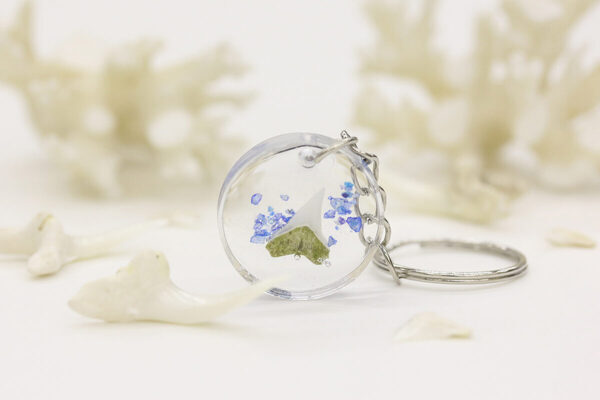 水族館が学校に！ 神戸須磨シーワールドで、海の生きものを学ぶスクールがスタート！【小学生対象】