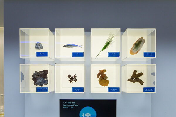 無料で学べる体験型施設「Daiichi Sankyo くすりミュージアム」（東京・中央区）で小4息子の薬への興味を刺激してみた！