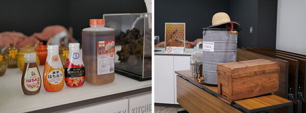 【無料で試食も♡】あま～いヒミツに息子もびっくり！「埼玉養蜂ハチミツ工場」に親子で潜入！