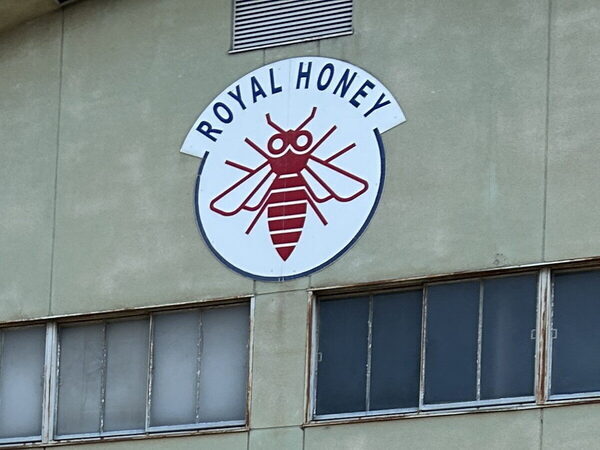 【無料で試食も♡】あま～いヒミツに息子もびっくり！「埼玉養蜂ハチミツ工場」に親子で潜入！