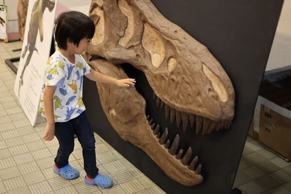 時代を超えて動く恐竜と「触れ合える」体験に4歳もドキドキ！ リアル恐竜ショー「恐竜パーク」親子レポ
