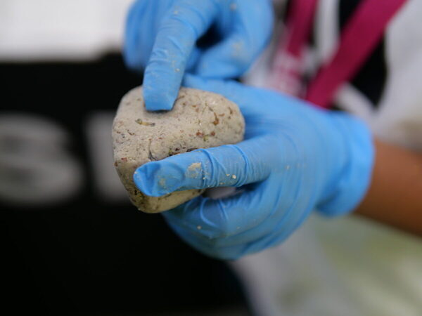 【当選確率214倍!? 】激戦をくぐり抜けて「LUSH」の工場見学へ！ 親子でバスボムの秘密にびっくり