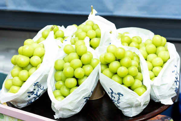 TGCから世界へ！ 甲府市×鯖江市の「ものづくりタッグ」が、魅力的な子育て支援に繋がる理由