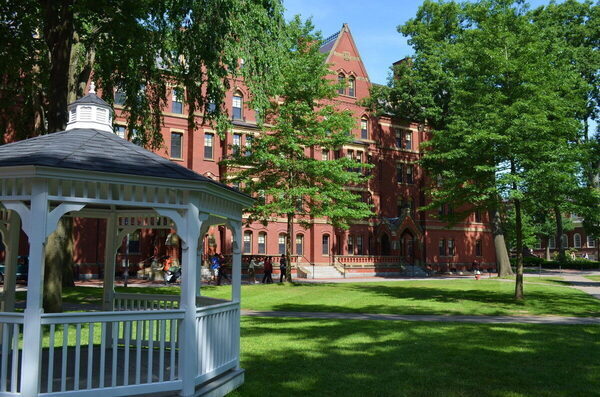 夏休みだけで数十万のお金が……。インターナショナルスクールの“リアル”なお金事情をインターママに聞いた