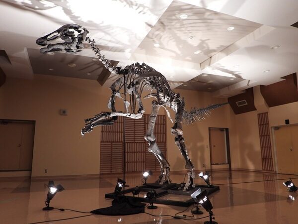 恐竜×クジラ×ペンギン！「AOAO SAPPORO」で“生命の物語”を親子で体感しよう