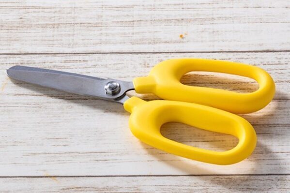 【0歳OK】しゃぶ葉で“手ぶら外食”応援の新サービス登場！ハロウィン限定企画も