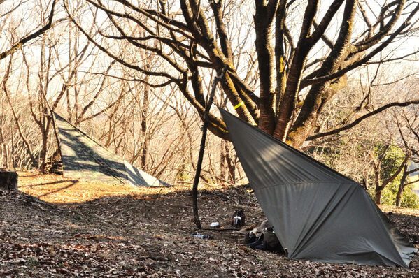 2日間の親子キャンプで「人間力」を育もう！茨城のグランピング施設で「焚き火の森の冒険キャンプ」