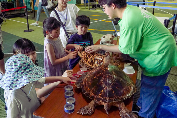【入場無料】クルーズに野外映画、サイエンスショーも！ 親子で1日楽しめる「天王洲キャナルフェス」開催