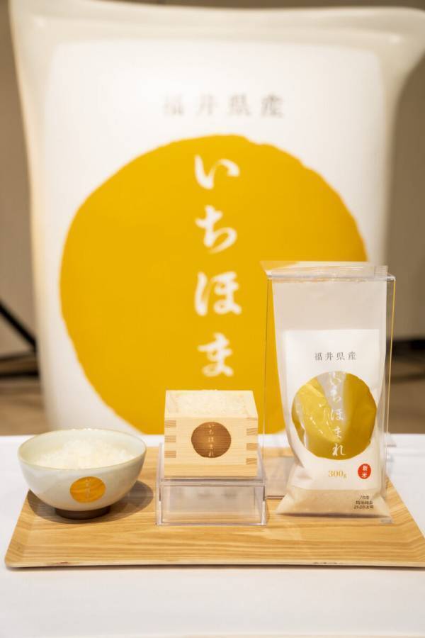 大島優子さん第二子出産でばっさりショートに「本当はもっと短くしたい」真っ白なお米のような透明感♡