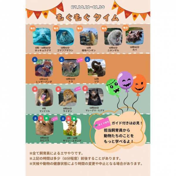 もぐもぐタイムがスペシャル版に！ 赤ちゃんライオン名づけイベントも！ 愛知の「のんほいパーク」でオータムフェスティバル