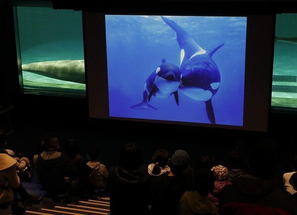 【鴨川シーワールド】11月は家族月間！子育て支援パスポート提示で入館料がお得に＆限定スタンプラリーも開催