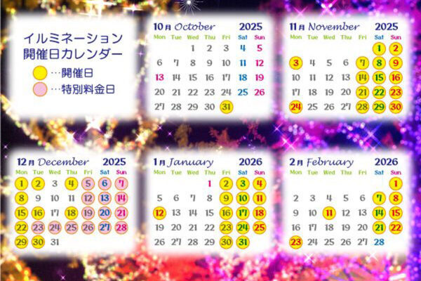 約100万球が光り輝く。大阪・堺の「ハーベストの丘」でイルミネーションイベント