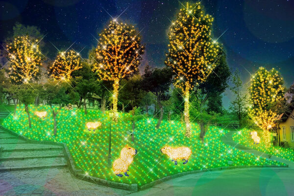 約100万球が光り輝く。大阪・堺の「ハーベストの丘」でイルミネーションイベント