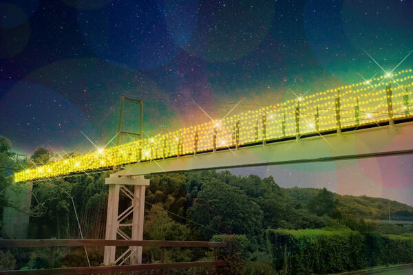 約100万球が光り輝く。大阪・堺の「ハーベストの丘」でイルミネーションイベント