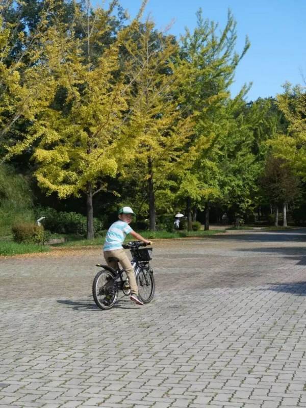 【体力オバケの小学生男子も大満足！】大自然の中でたっぷり遊べるスポット「秩父ミューズパーク」を親子で遊び尽くして来た。