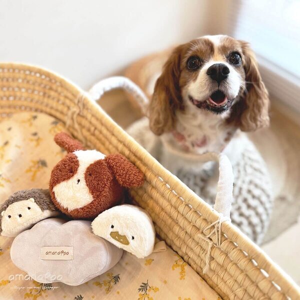 “はじめてのおともだち”に。赤ちゃんに優しい布つみき、新作『もちふわブロック ふわふわ＋』発売！森の仲間たちが仲間入り