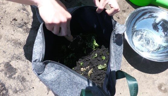 触れて、食べて、循環型社会を親子で学ぼう！ 東京・青山で「コンポストと有機野菜」体験イベントが開催