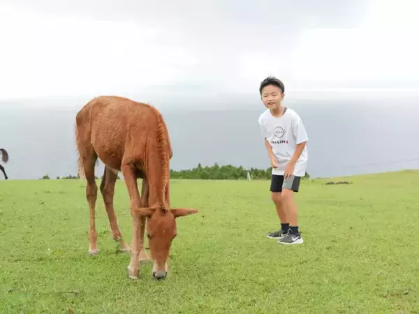 日本初！セグウェイ発の電動ゴーカートに挑戦！ 南国・宮崎の新スポット「シーガイア・サーキット」がアツイ