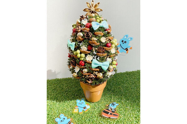 子どものスケートデビューによさそう♪ 海老名中央公園に本格アイススケートリンクがオープン