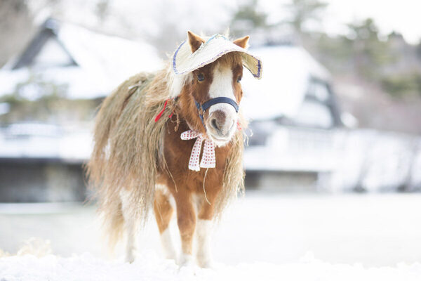 まるで映画のワンシーン。「うまくいく年」にしたい人へ。運気もテンションも上がる、星野リゾートの“馬旅”