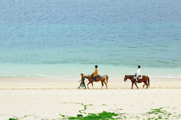 まるで映画のワンシーン。「うまくいく年」にしたい人へ。運気もテンションも上がる、星野リゾートの“馬旅”
