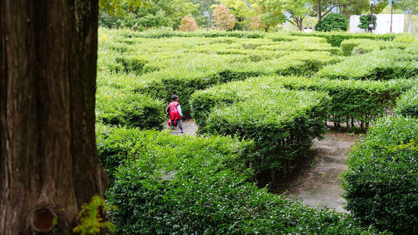 【福袋】大人の宿泊料金が半額！子どもは体験、親は温泉。家族全員が楽しめる体験型リゾート