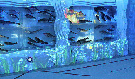 ＜保存版＞宮城県内で楽しめる工場見学スポット8選！【親子でとっておきの体験を】