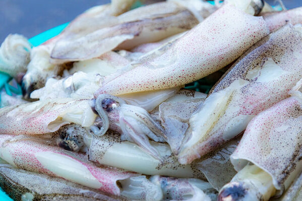 あの高級時計から南部鉄器まで！【岩手】で楽しめる工場見学＆体験スポット12選♪《家族でおでかけ》