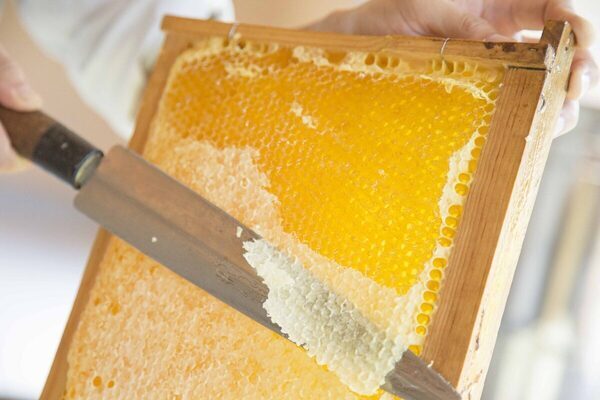 親子で楽しめる！千葉県のおすすめ工場見学・体験スポット9選＜口コミあり＞