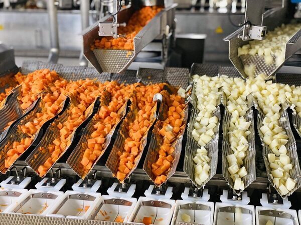 ＜保存版＞子どもと一緒に楽しめる！静岡県の工場見学・体験施設9選