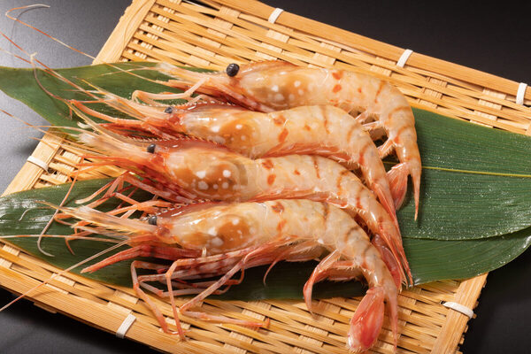 子どもと行ける愛知県の工場見学・体験施設13選【エリア別】親子で楽しめるスポット