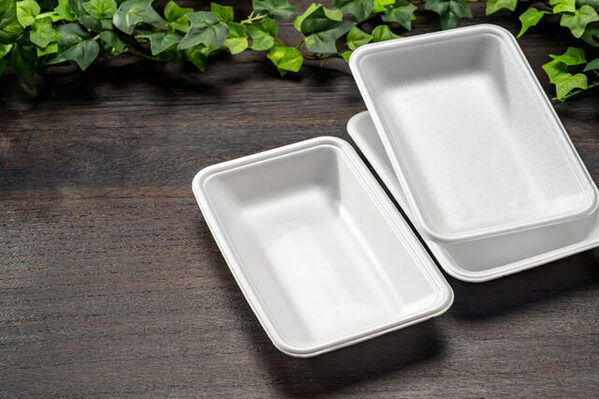 春休みにおすすめ！【石川】工場見学＆体験10選｜金箔・九谷焼・能登の塩づくりも