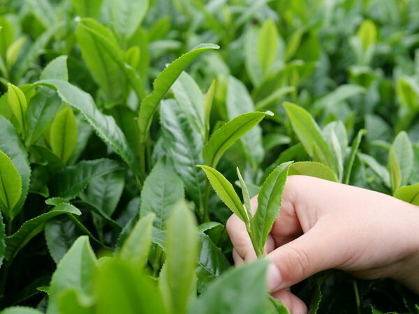 週末どこ行く？親子で楽しめる【埼玉県】のおすすめ工場見学・体験スポット18選♪＜口コミあり＞