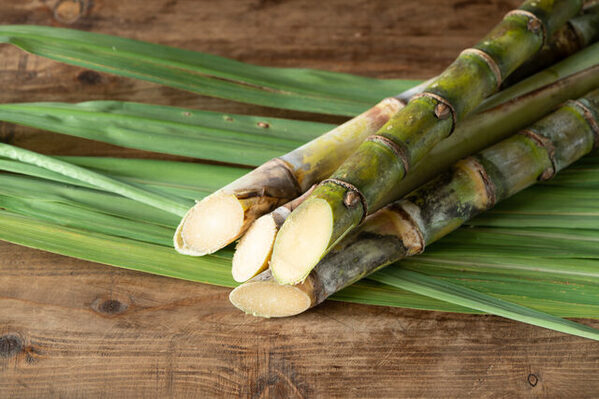 春休みのおでかけに！【沖縄】で楽しめる工場見学・体験スポット15選まとめ《親子で楽しめる♪》
