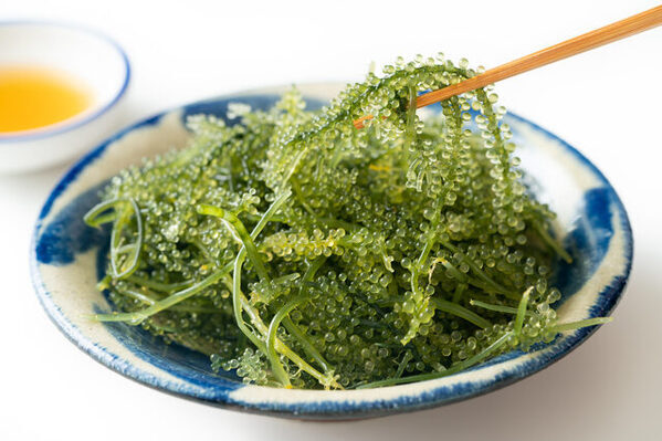 春休みのおでかけに！【沖縄】で楽しめる工場見学・体験スポット15選まとめ《親子で楽しめる♪》