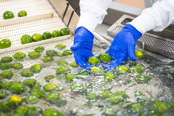 春休みのおでかけに！【沖縄】で楽しめる工場見学・体験スポット15選まとめ《親子で楽しめる♪》