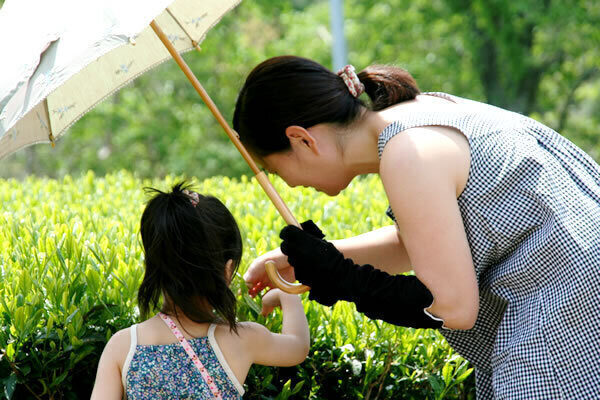 【保存版】高知で楽しめる工場見学・体験施設8選！《エリア別まとめ》