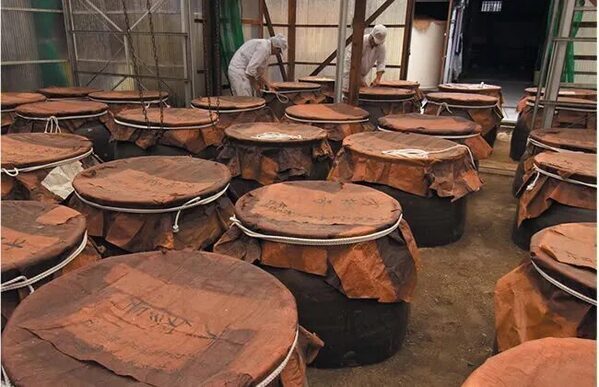 【保存版】福岡で楽しめる工場見学・体験施設9選！見やすいエリア別でご紹介