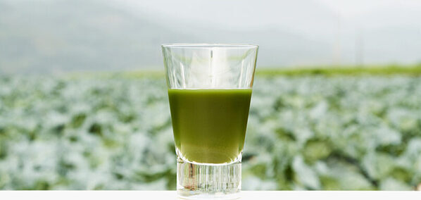 子どもと楽しめる！大分県の工場見学・体験スポット＜エリア別＞おすすめ9選！一挙公開