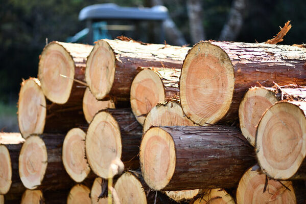 親子で楽しむ♪宮崎県の工場見学・体験スポット＜エリア別＞8選！春休みのおでかけに◎